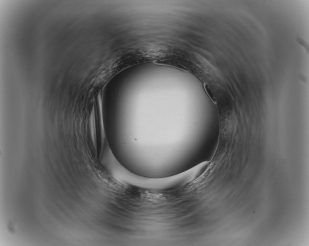 X0000098050180200804071517