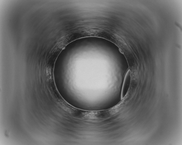 X0000098050182200804071517