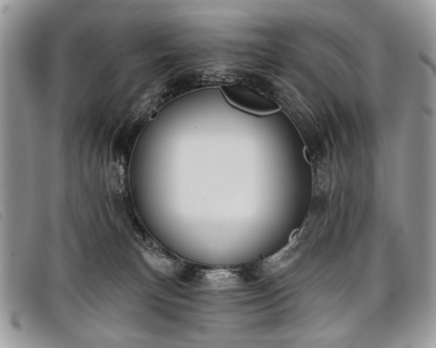 X0000098050183200804071517