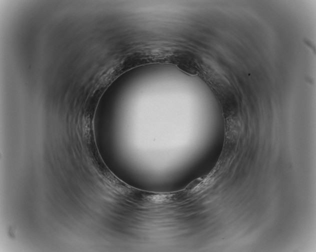 X0000098050184200804071517