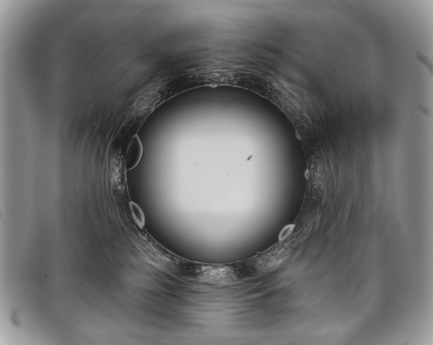 X0000098050185200804071517