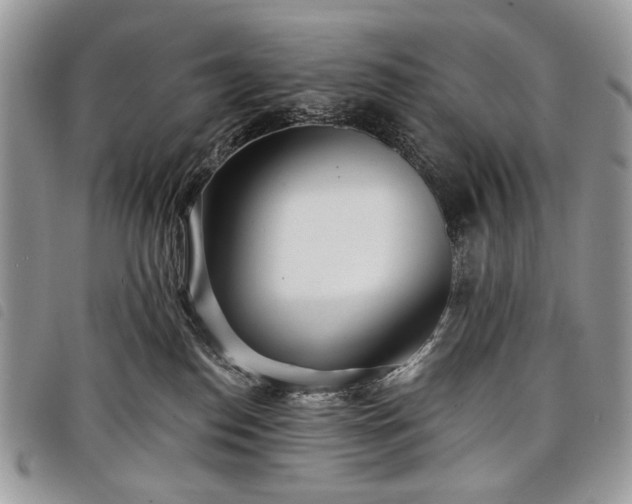 X0000098050186200804071517