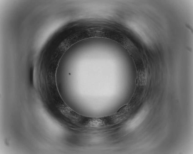 X0000098050189200804071517