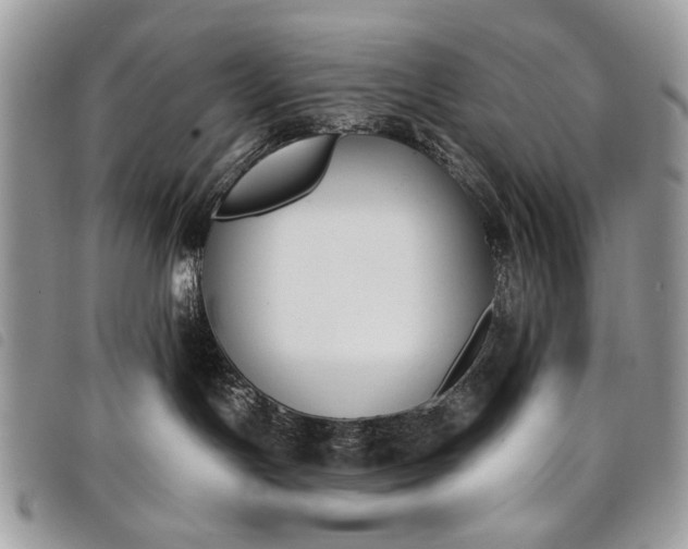 X0000098050191200804071517