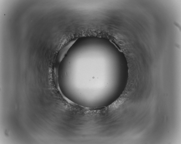 X0000098050192200804071517