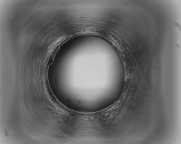 X0000098050193200804071516