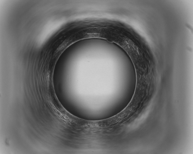 X0000098050194200804071516