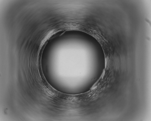 X0000098050195200804071516