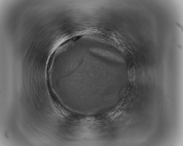 X0000098050196200804071516