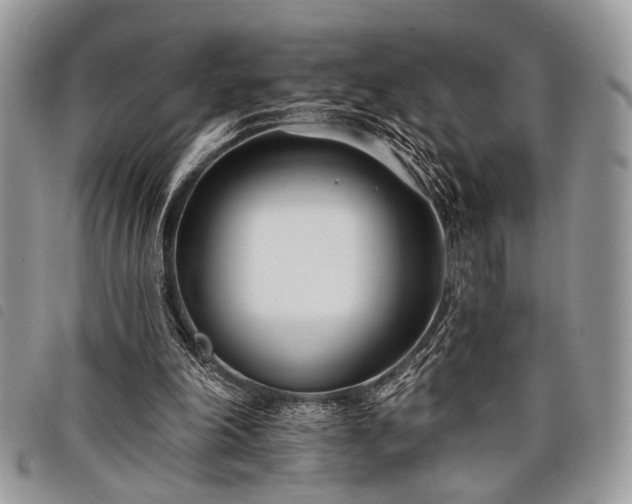 X0000098050198200804071516