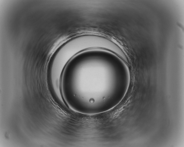 X0000098050199200804071516