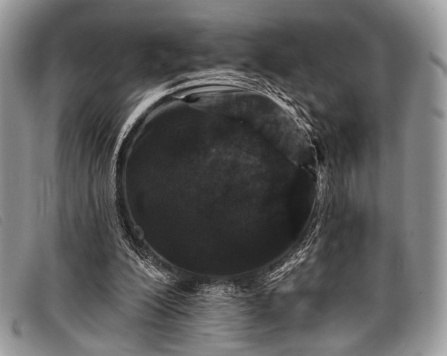 X0000098050200200804071516