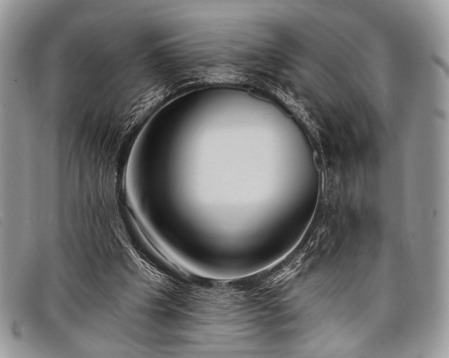 X0000098050201200804071516