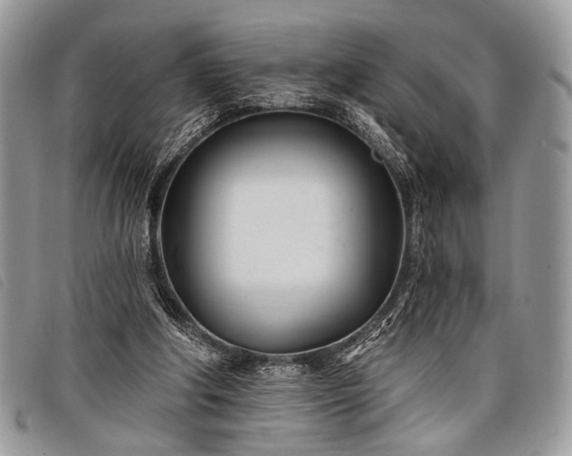 X0000098050202200804071516