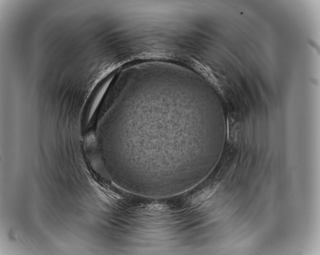 X0000098050204200804071516