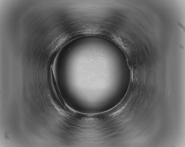 X0000098050205200804071516