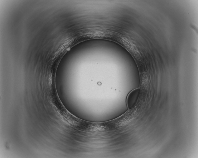 X0000098050206200804071516