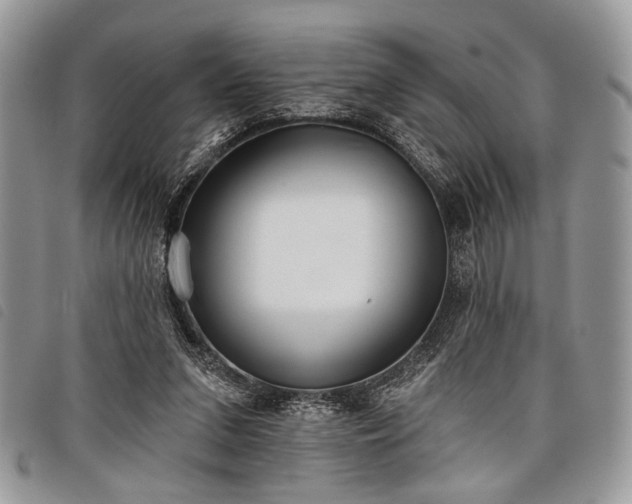 X0000098050207200804071516