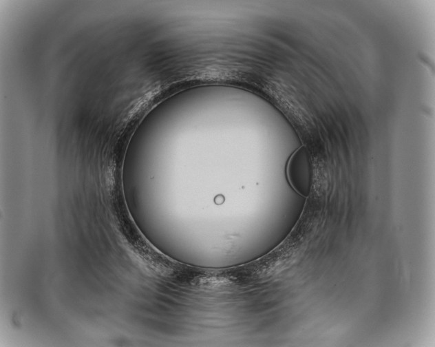 X0000098050208200804071516