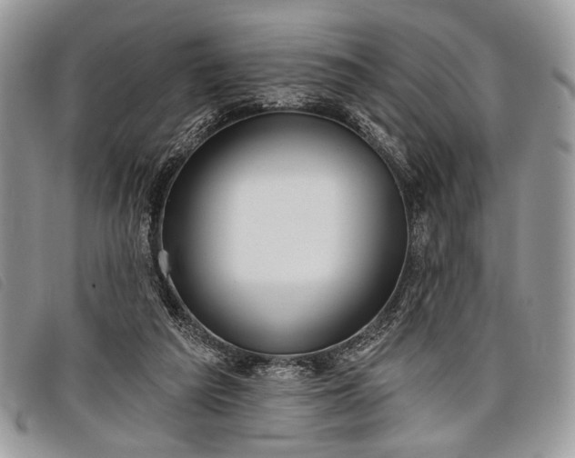 X0000098050209200804071516