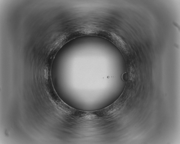 X0000098050210200804071516