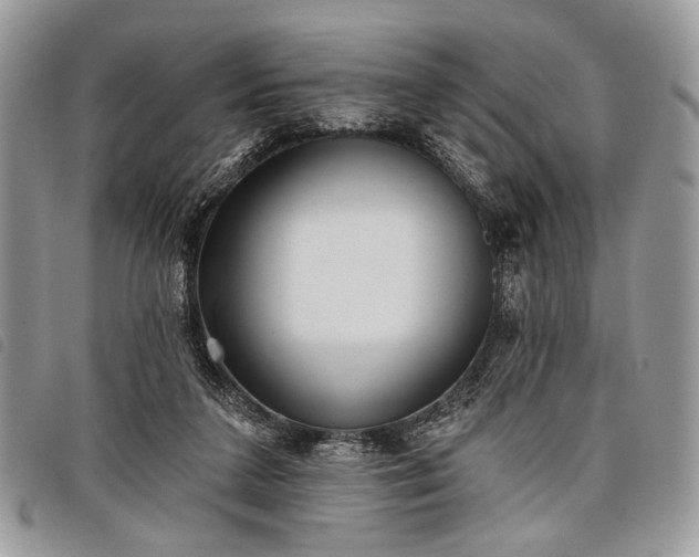 X0000098050211200804071516