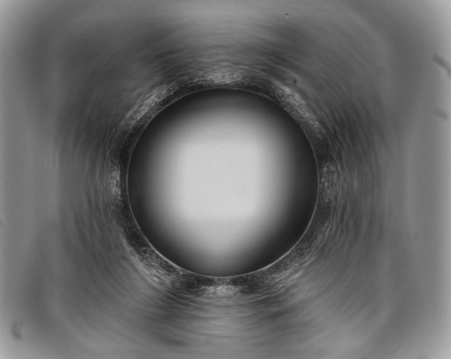 X0000098050212200804071516