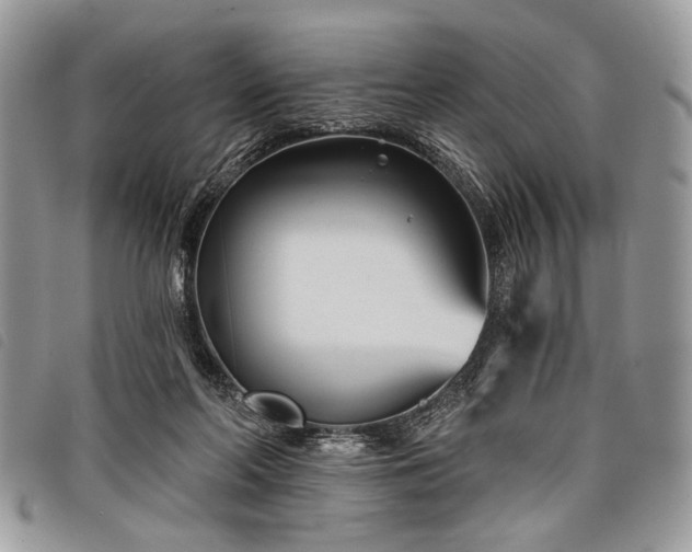 X0000098050214200804071516