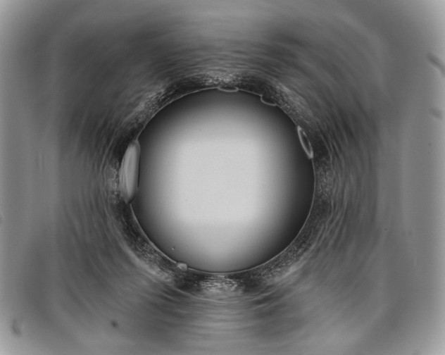 X0000098050215200804071516