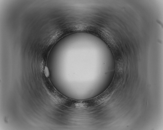 X0000098050216200804071516