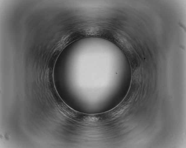 X0000098050217200804071516