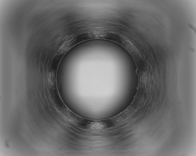 X0000098050218200804071516