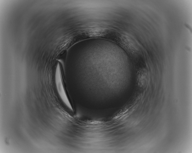 X0000098050219200804071516