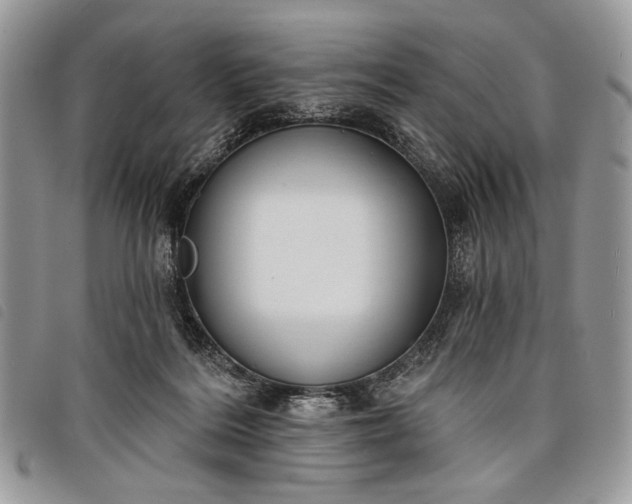 X0000098050220200804071516