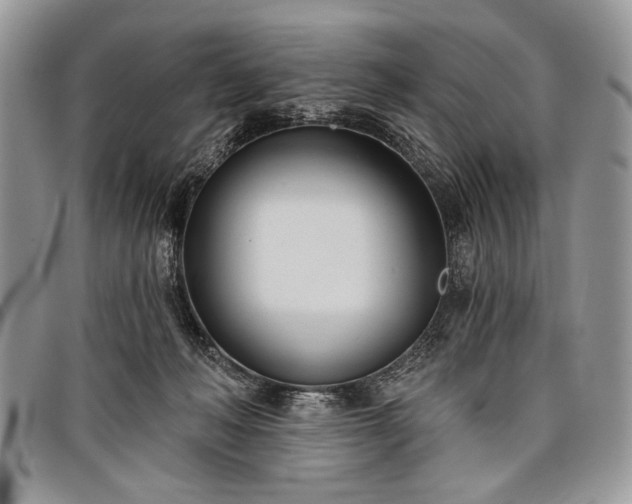 X0000098050222200804071516