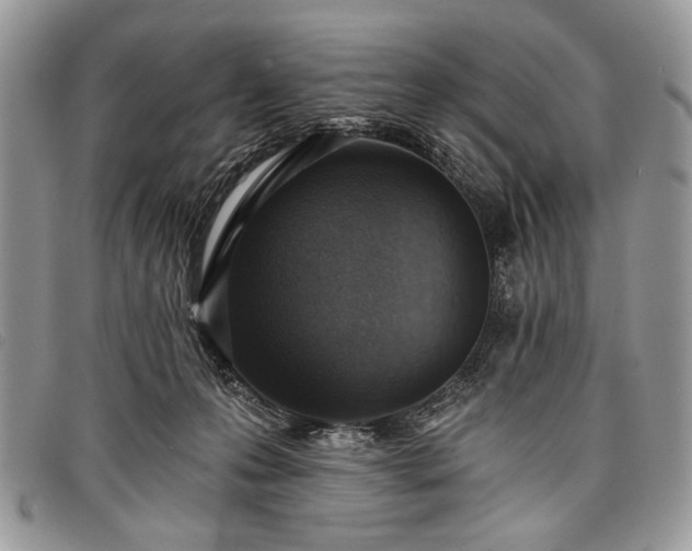 X0000098050223200804071516