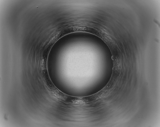 X0000098050224200804071516