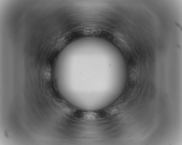 X0000098050226200804071516