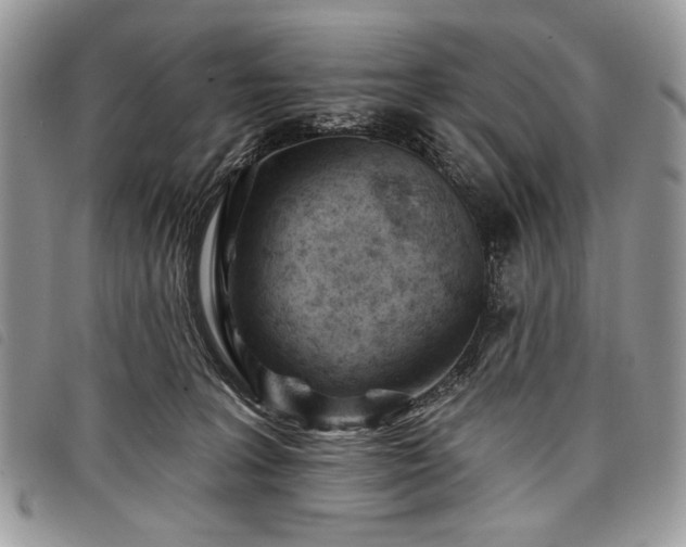 X0000098050227200804071515