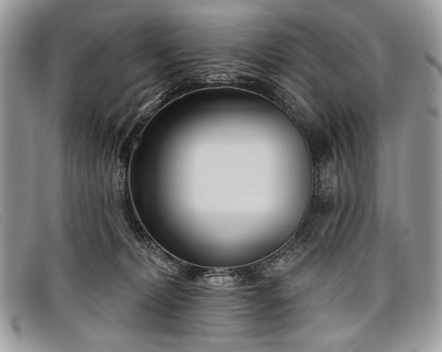 X0000098050228200804071515