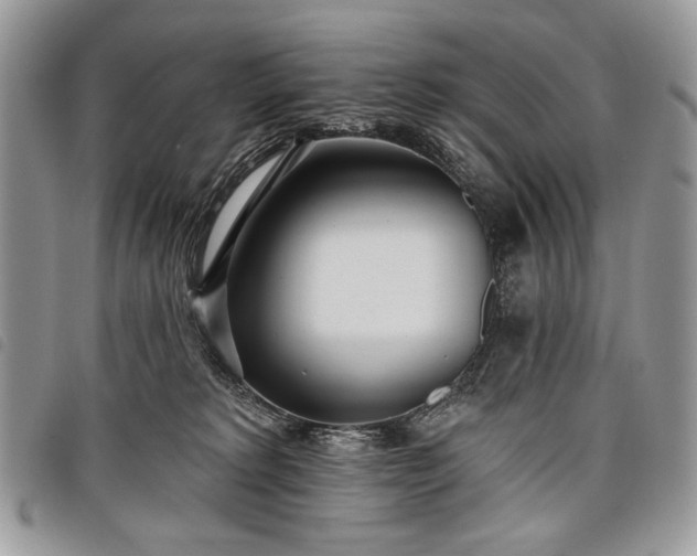 X0000098050229200804071515