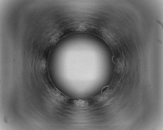 X0000098050230200804071515