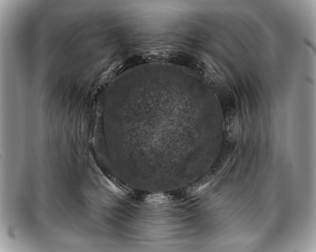 X0000098050231200804071515