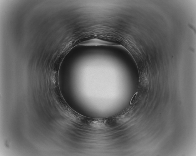 X0000098050232200804071515