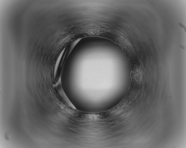 X0000098050233200804071515