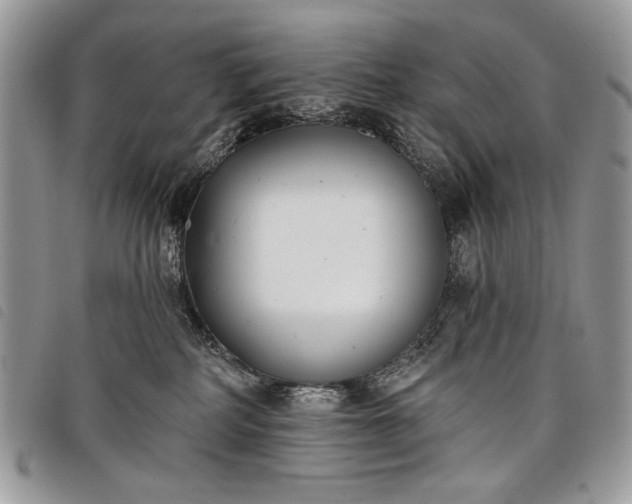 X0000098050234200804071515