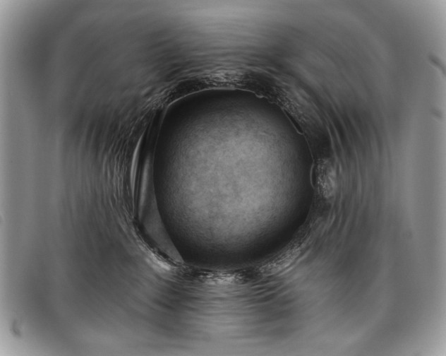 X0000098050235200804071515