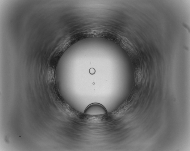 X0000098050236200804071515