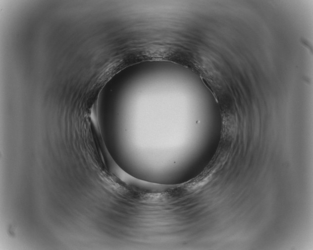 X0000098050237200804071515