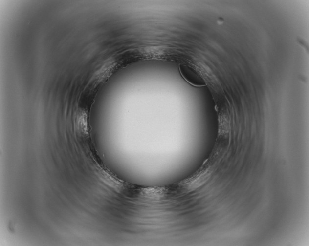 X0000098050238200804071515